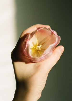 But I'm Allergic To Flowers VI.