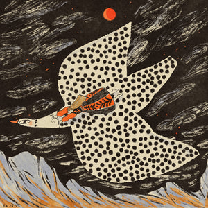 Magic bird