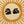 Birds under the soltice sun