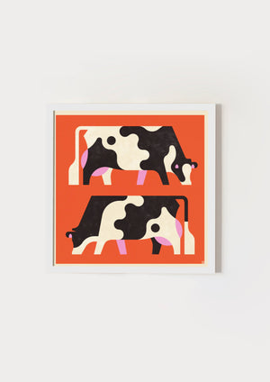Orange Cows