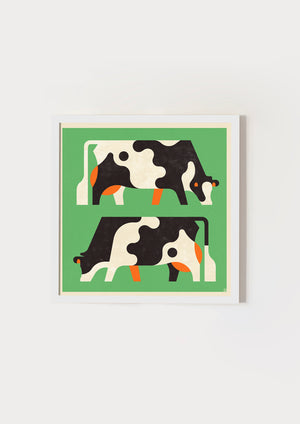 Cows