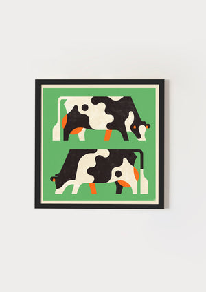 Cows