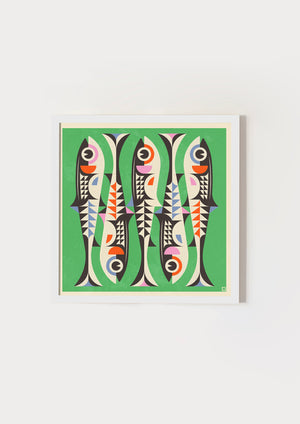 Sardines