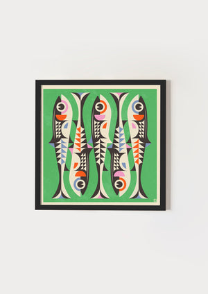 Sardines