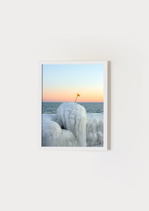 Frozen flower