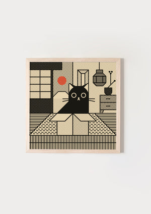 Cat in a box