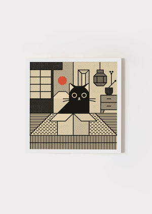 Cat in a box