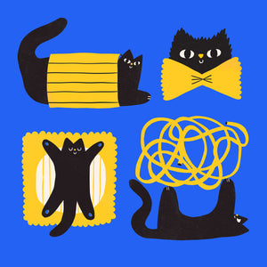 Pasta cat blue