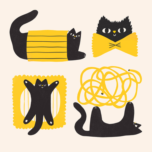Pasta cat white
