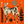 Spotted dog in the magic garden orange